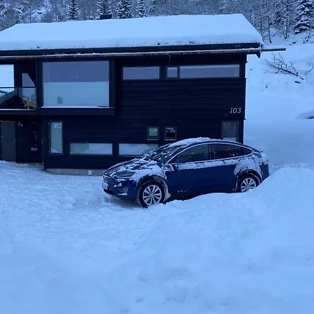 Casa vacanze Private In Sirdal Close To Sirdal Fjellpark Sinnes